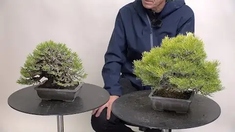 針金掛けの理由