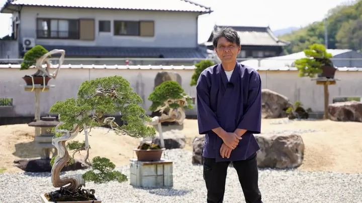 Welcome to Bonsai-Journey