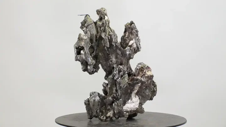 Image of completed bonsai with stone