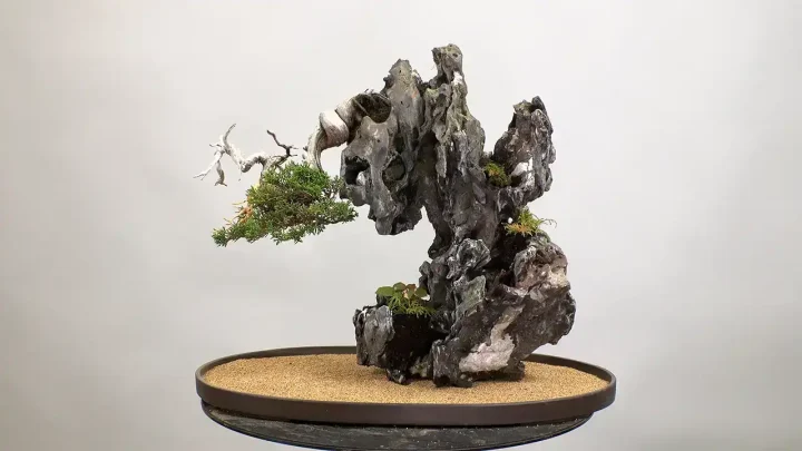 How to Decorate Bonsai with Stone