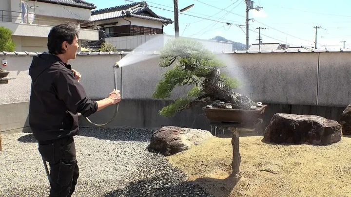 Watering Methods