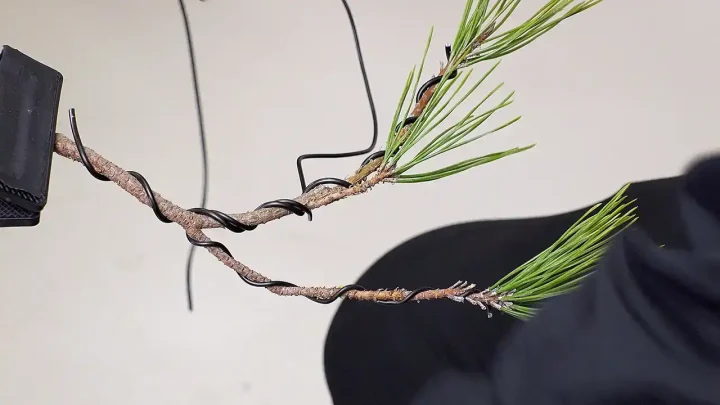 Wiringspacing