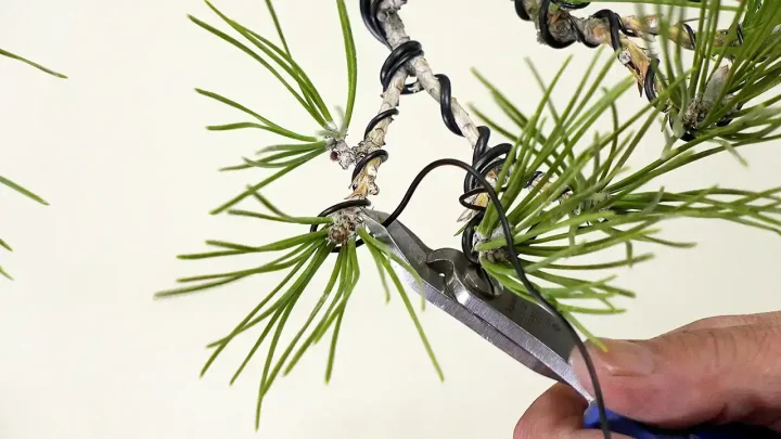 Basic Wire Hanging