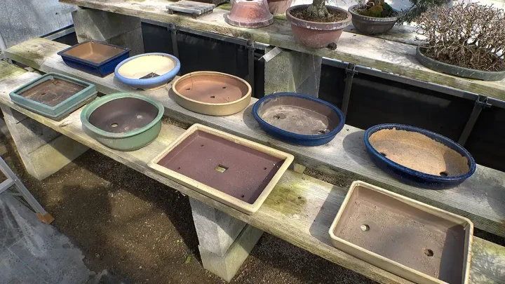 Selecting a pot for repotting