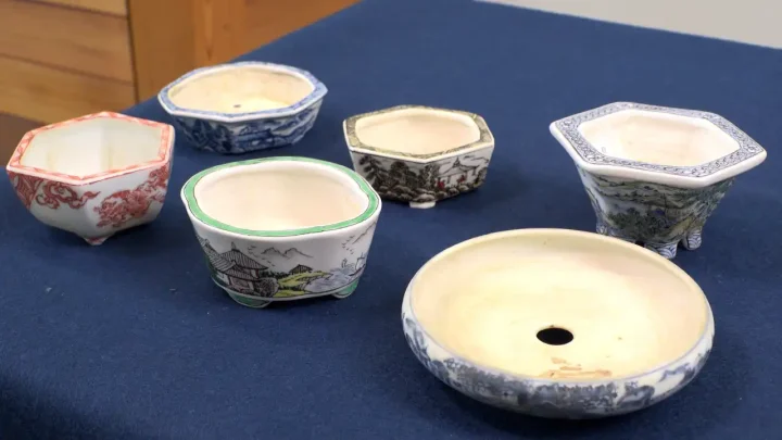 盆栽鉢(色鉢)の種類・形状