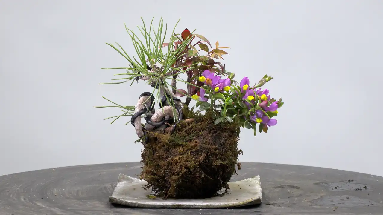th_L1101_T07.webp