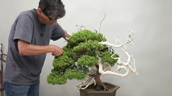 Camino al Kokufu-ten #3: Modelado de la secci&oacute;n media del shimpaku