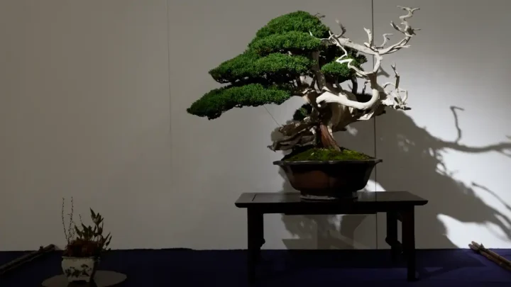 国風展への道 #6 国風展に展示披露